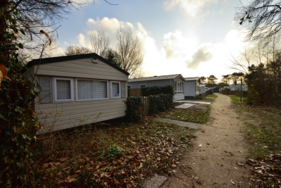 Dlaczego Polacy pokochali całoroczne domki holenderskie?