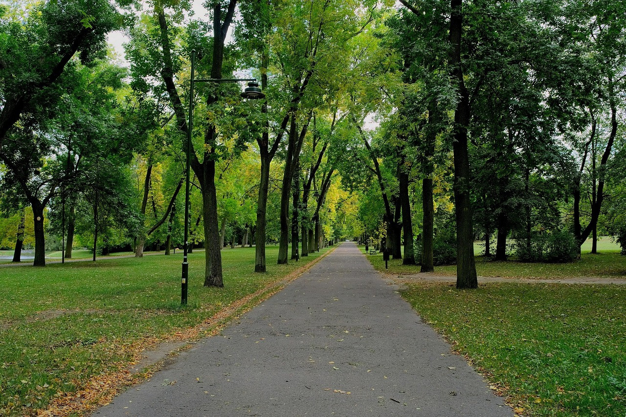 parkarnia